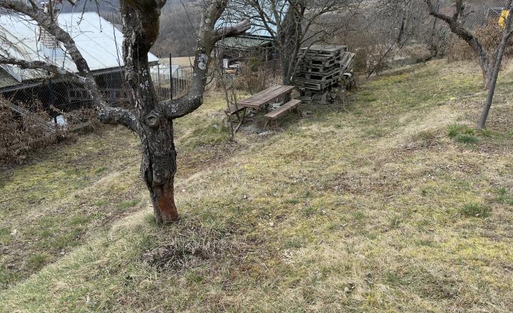 POZEMOK NA PREDAJ : ZÁHRADKÁRSKA OSADA ZUBERŠTÍN-PODBREZOVÁ - fotografia 13