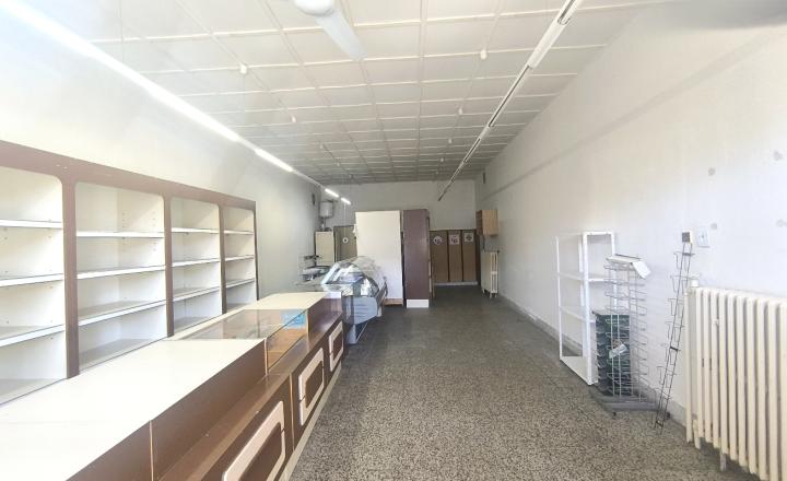 AKTUALIZÁCIA CENY! VÝHODNÁ INVESTÍCIA: ZAUJÍMAVÁ NEHNUTEĽNOSŤ VHODNÁ NA MNOHO VYUŽITÍ!! KRÁSNA ROVINATÁ SLNEČNÁ ZÁHRADA, TRI GARÁŽE, PRI PLYTKOM POTOČIKU - fotografia 8