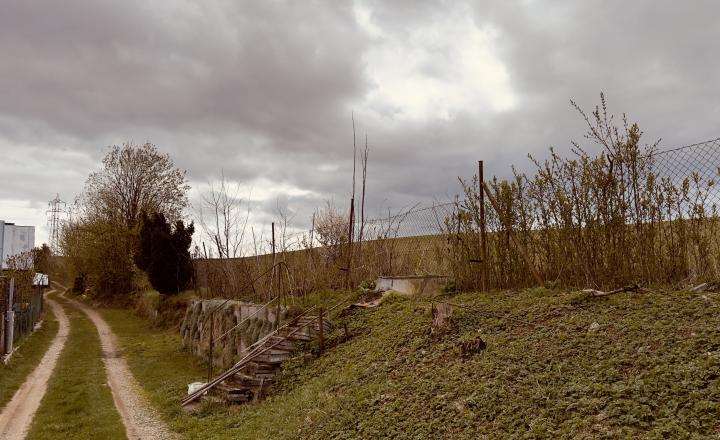 --ZNÍŽENÁ SUMA-- záhradná chatka Padličkovo - Brezno - fotografia 14