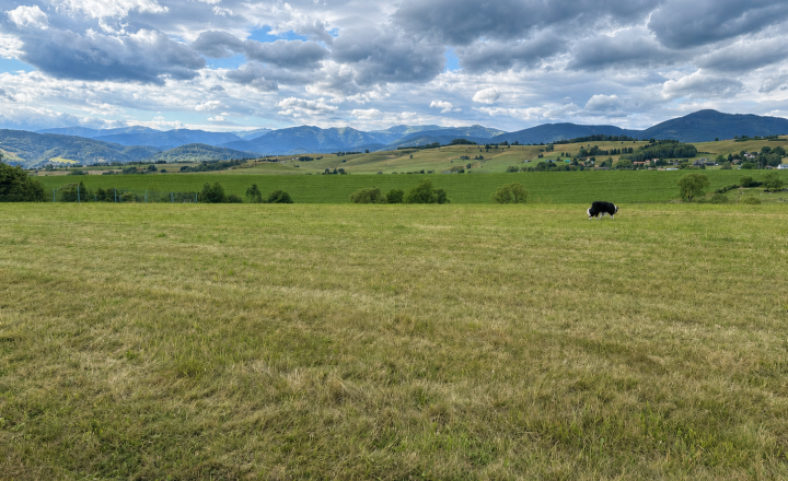 Jedinečný pozemok v Rohoznej na predaj - fotografia 3
