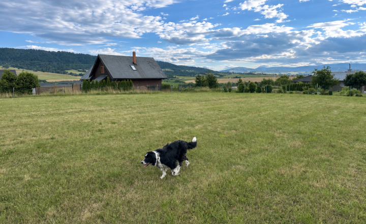 Jedinečný pozemok v Rohoznej na predaj - fotografia 4