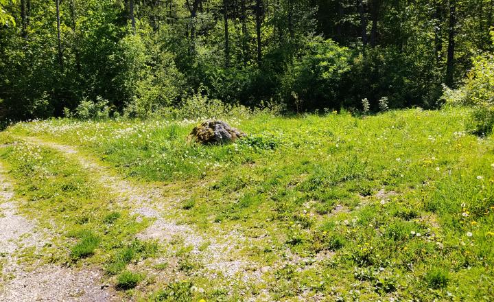 Pozemok v rekreačnej oblasti Krpáčovo-Tále - fotografia 3